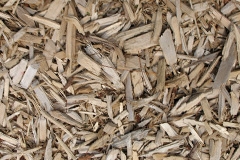 biomass boilers Dolphinston